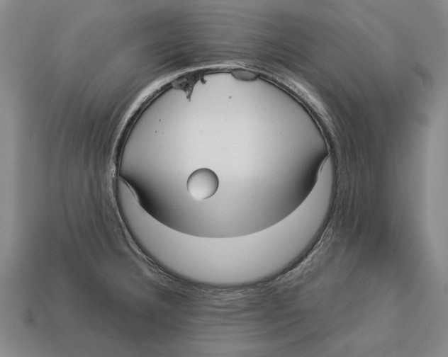 X0000113011332200909241344