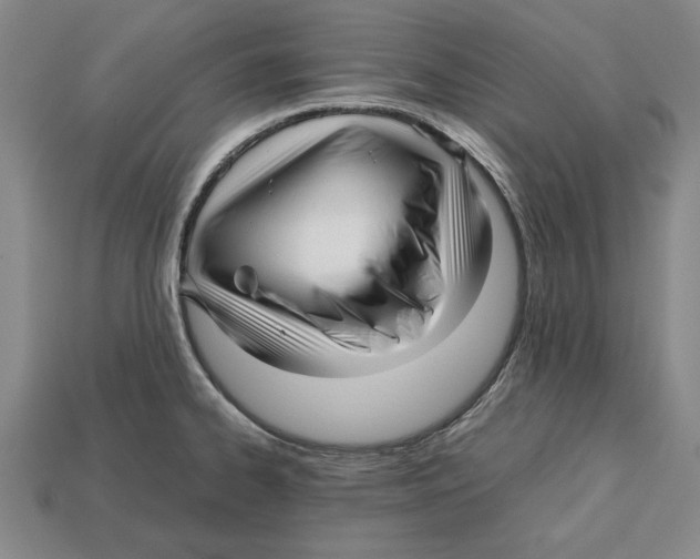 X0000113011334200909241344