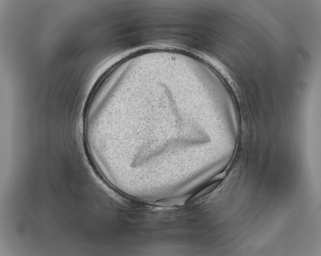 X0000113011335200909241344