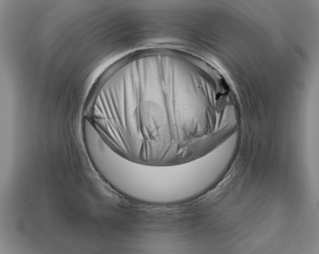 X0000113011336200909241344
