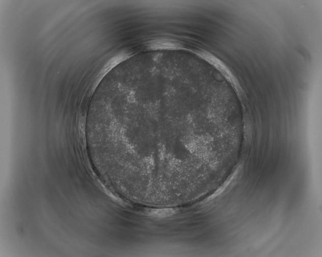 X0000113011337200909241344