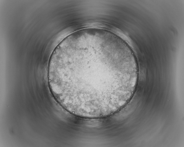 X0000113011338200909241344