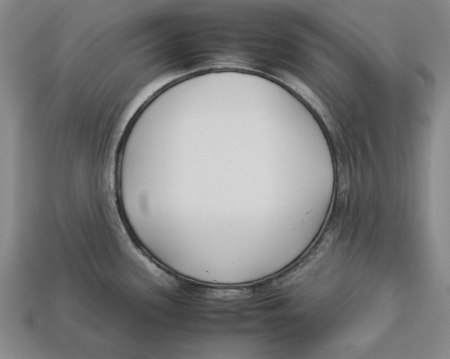 X0000113011339200909241344