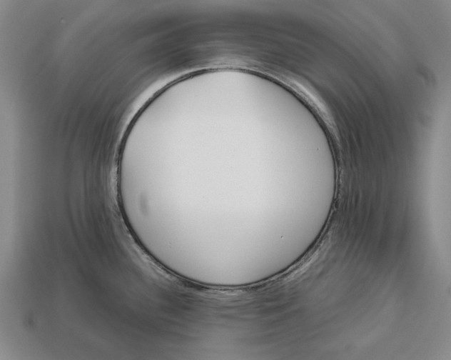 X0000113011340200909241344