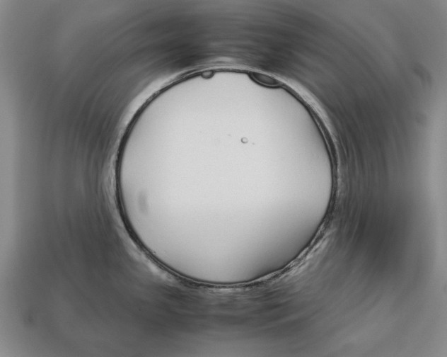 X0000113011341200909241344