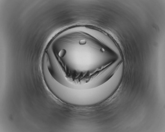 X0000113011342200909241344