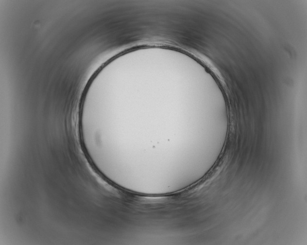 X0000113011343200909241344
