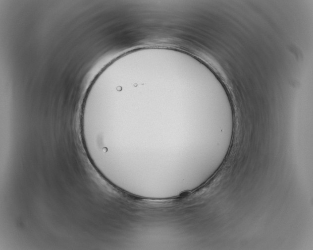 X0000113011344200909241344