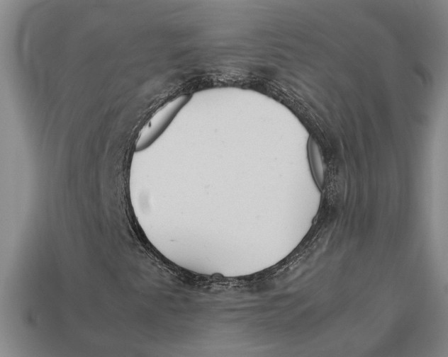 X0000113011345200909241343