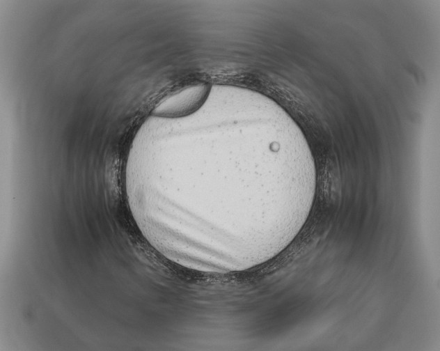 X0000113011346200909241343