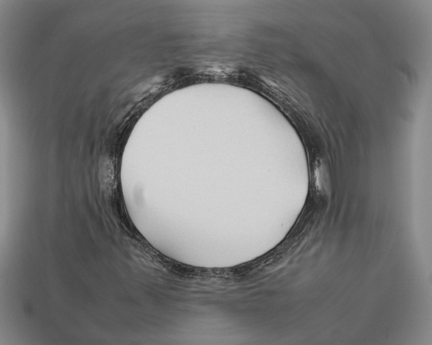 X0000113011347200909241343