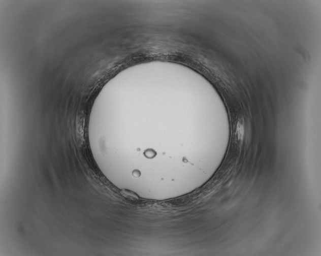 X0000113011348200909241343