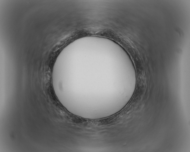 X0000113011349200909241343