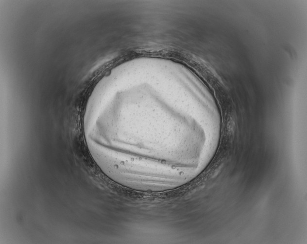 X0000113011350200909241343