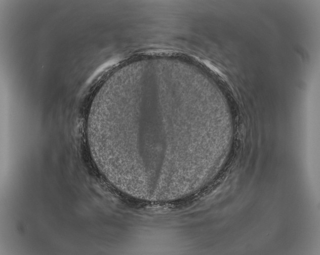 X0000113011351200909241343
