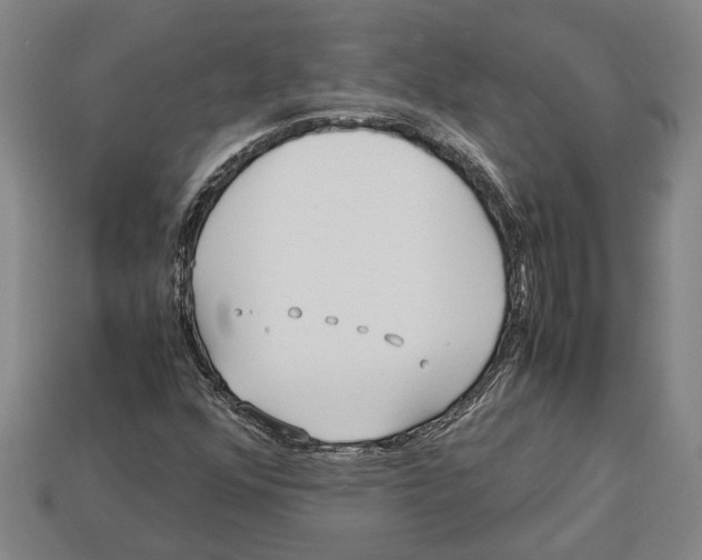 X0000113011352200909241343