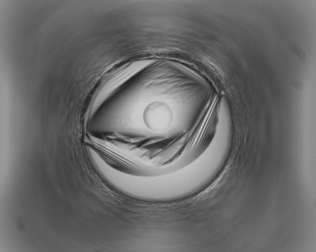 X0000113011353200909241343