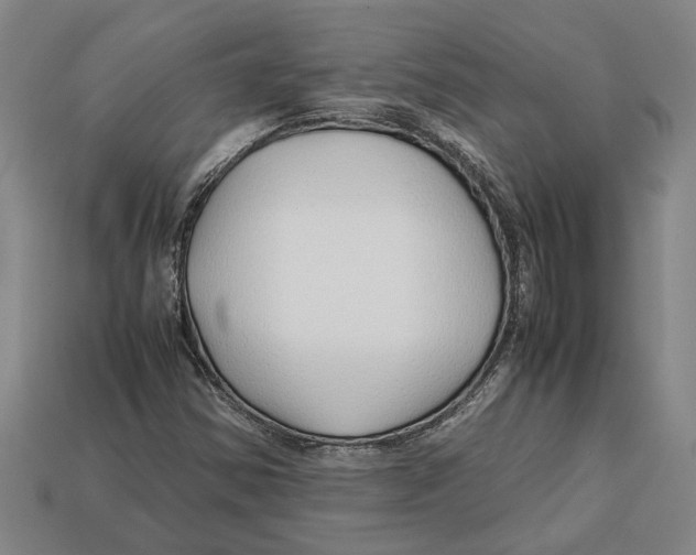 X0000113011354200909241343