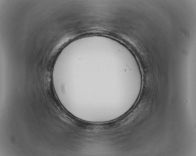 X0000113011355200909241343