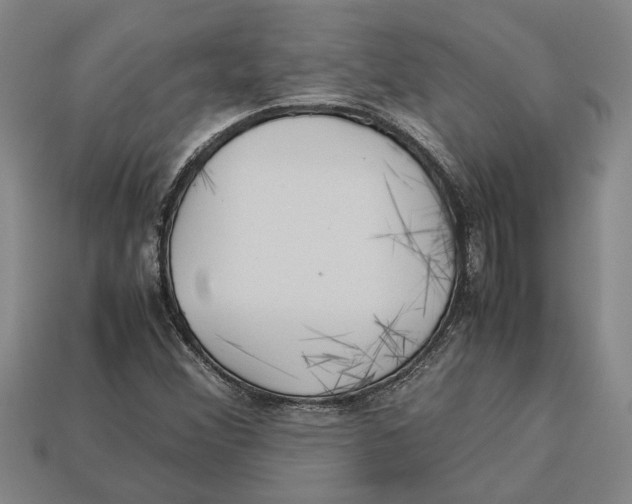 X0000113011356200909241343
