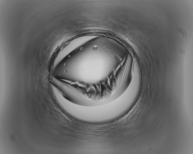 X0000113011357200909241343