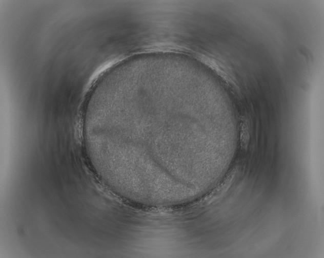 X0000113011358200909241343