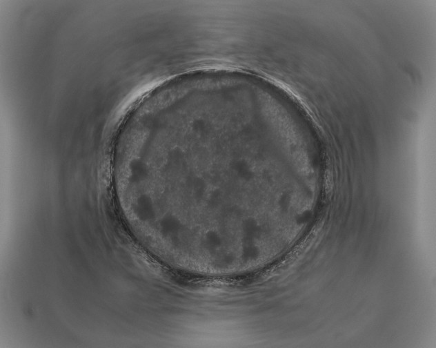 X0000113011359200909241343