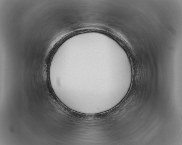 X0000113011360200909241343