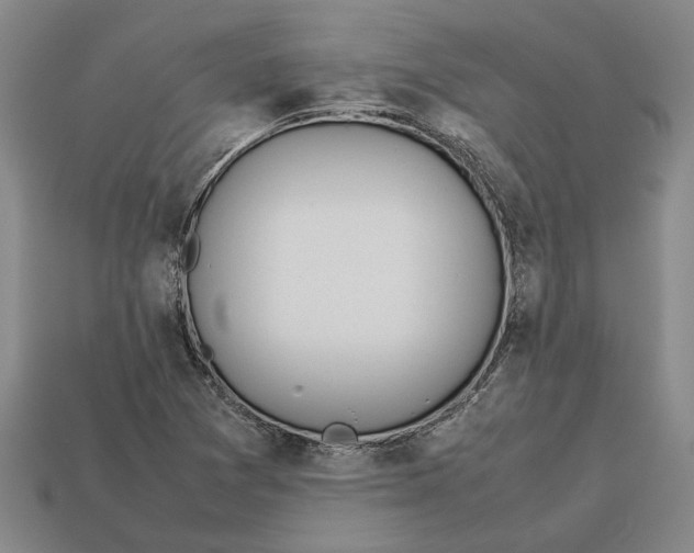 X0000113011361200909241343