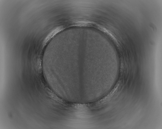 X0000113011362200909241343