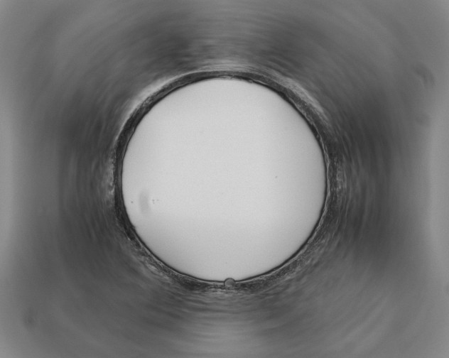 X0000113011364200909241343