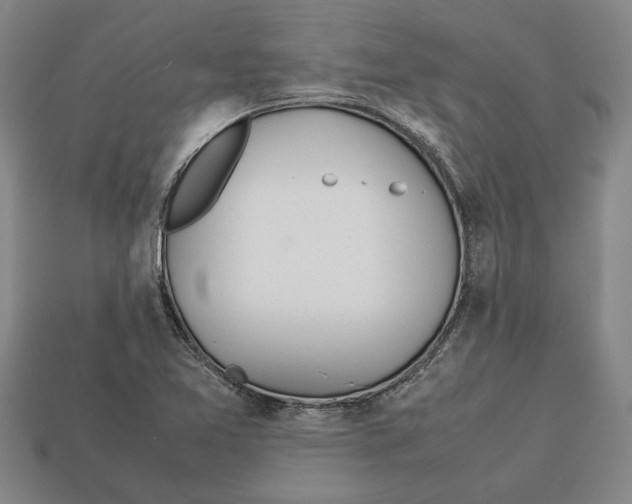 X0000113011365200909241343