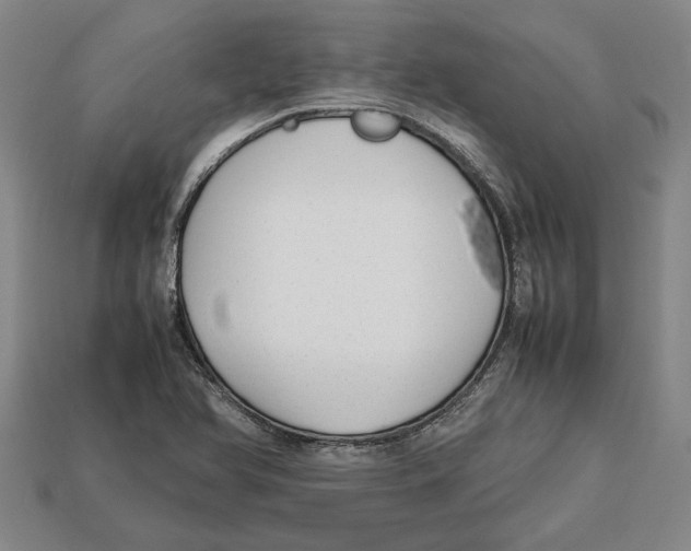 X0000113011366200909241343