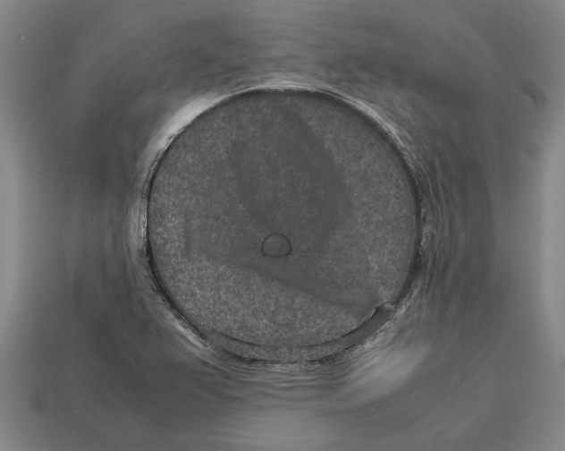 X0000113011367200909241343