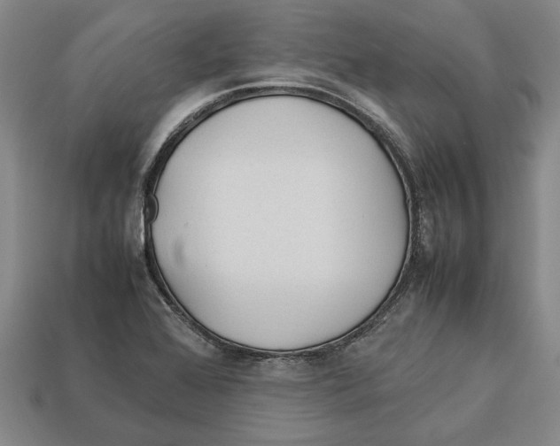X0000113011368200909241343