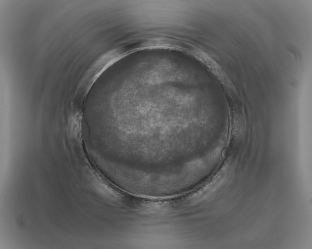 X0000113011369200909241343