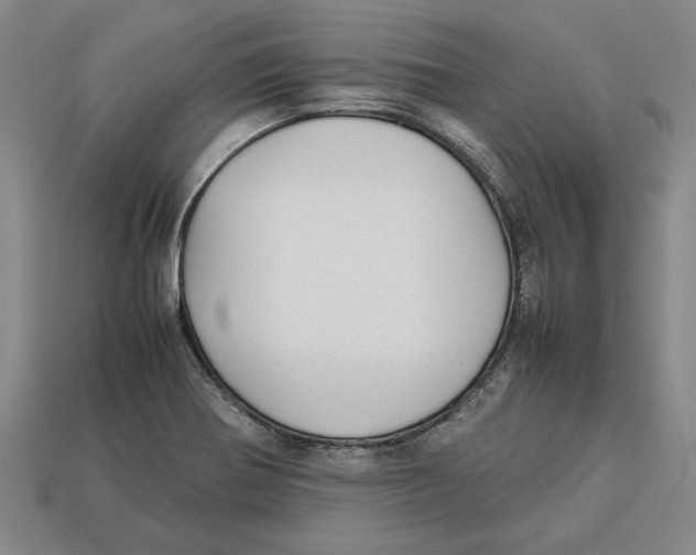 X0000113011370200909241343