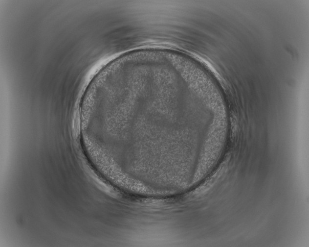 X0000113011371200909241343