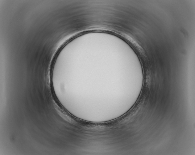 X0000113011372200909241343