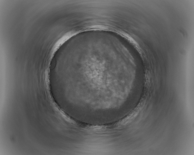 X0000113011373200909241343