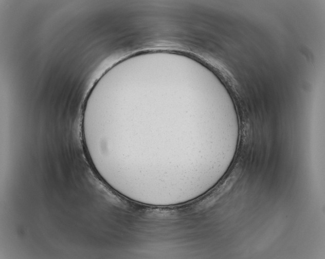 X0000113011374200909241343