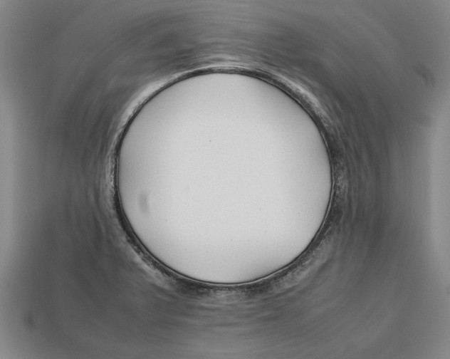 X0000113011375200909241343