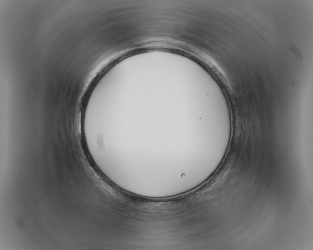 X0000113011376200909241343