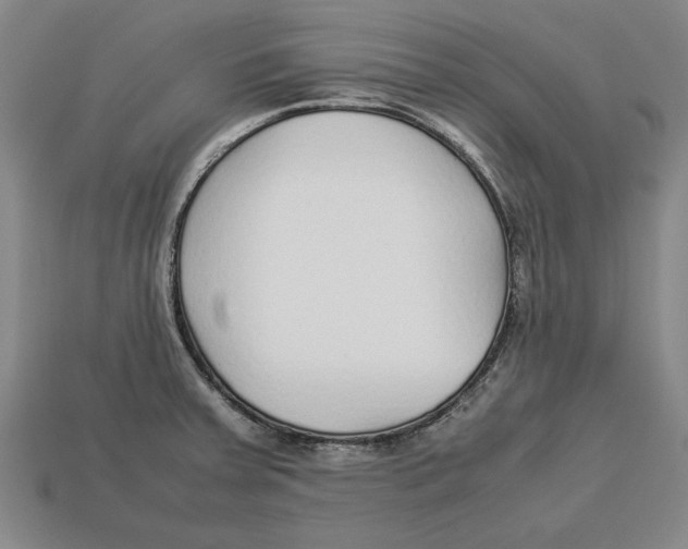 X0000113011379200909241343