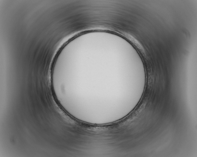 X0000113011380200909241343