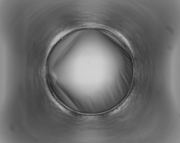 X0000113011381200909241343