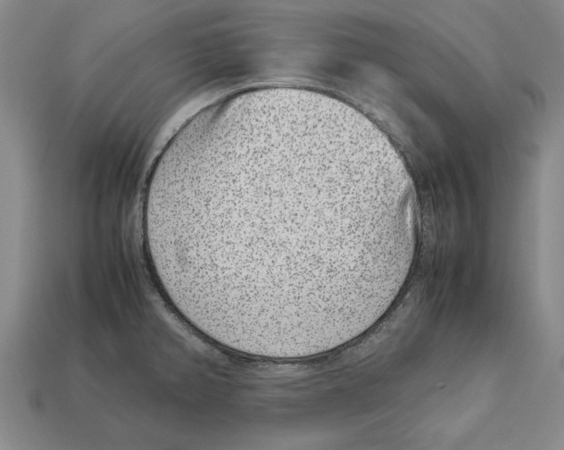 X0000113011382200909241343