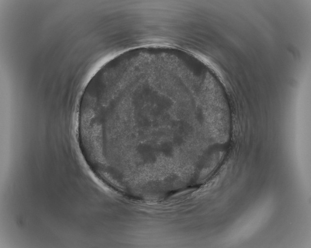 X0000113011383200909241343