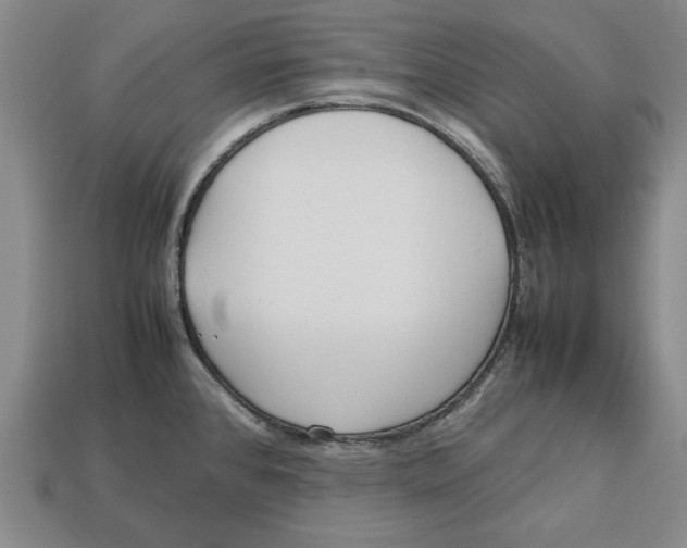 X0000113011384200909241343