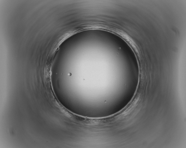 X0000113011385200909241343
